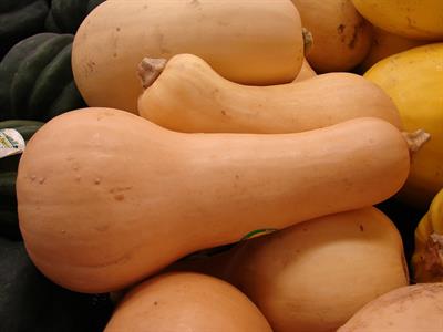 Cucurbita moschata